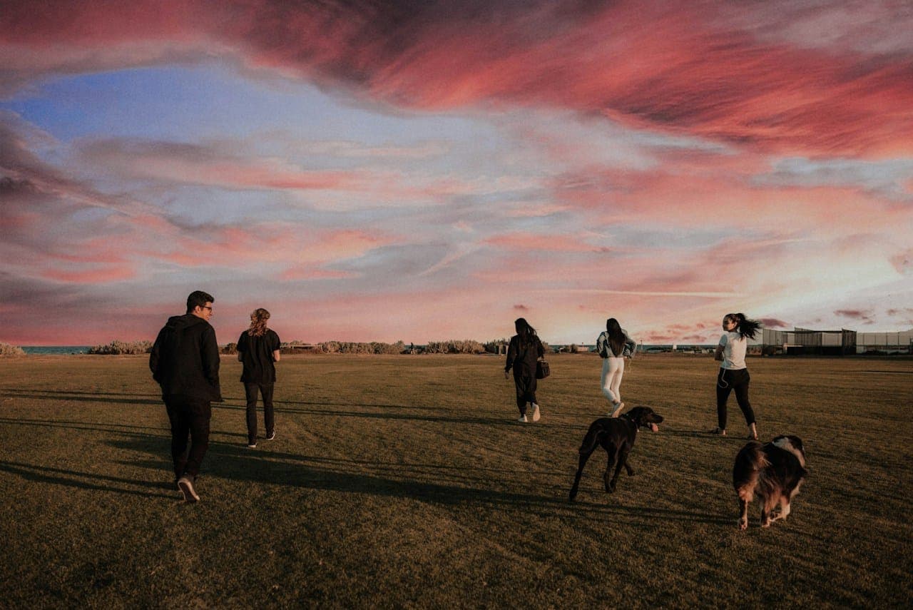 People and dogs walking across an open field at dusk
